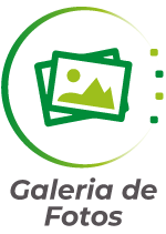 '